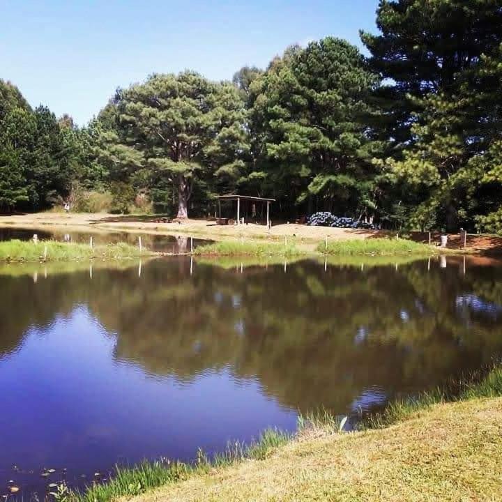 Sitio Aurora *